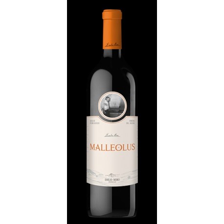 VINO MALLEOLUS R. DUERO 6x0,75 L.